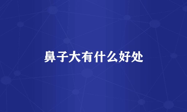 鼻子大有什么好处